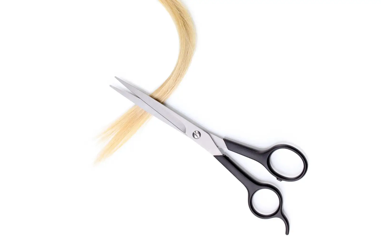 Professional scissors cutting through a lock of blonde hair, illustrating the hair sample collection process for drug and alcohol testing